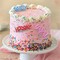 72 Count Colorful Balloon Cupcake Toppers Party Decorations Reusable Plastic Birthday Picks
